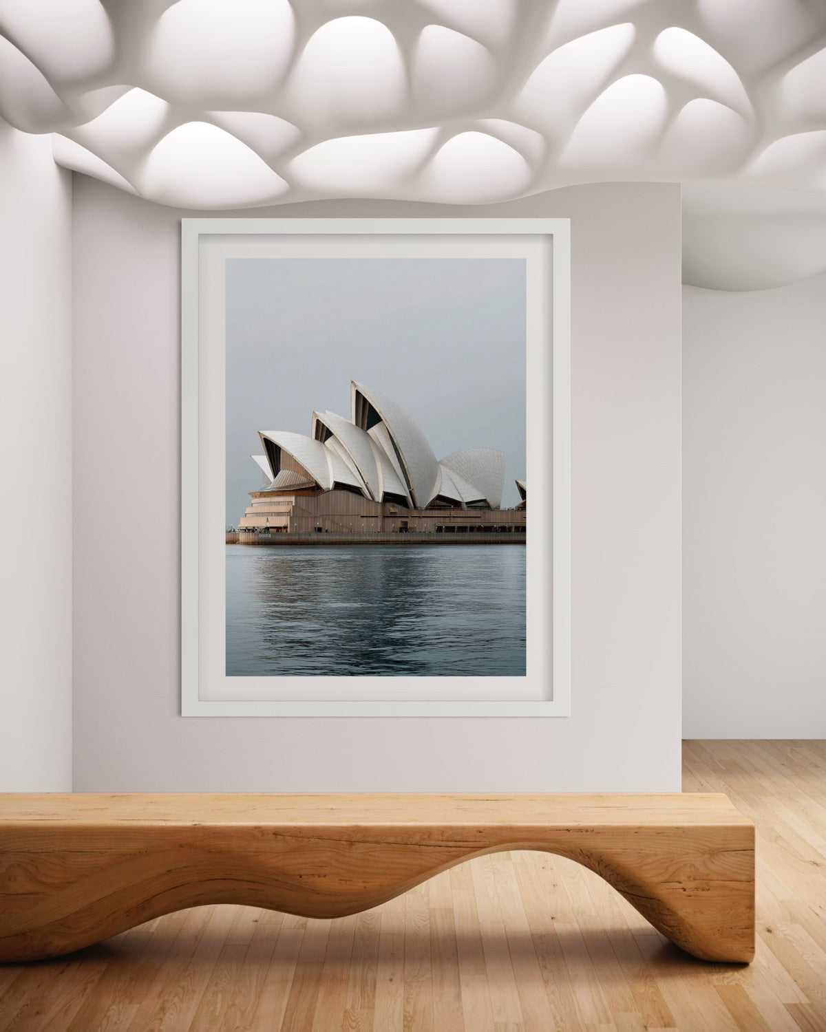 Sydney in Still Light