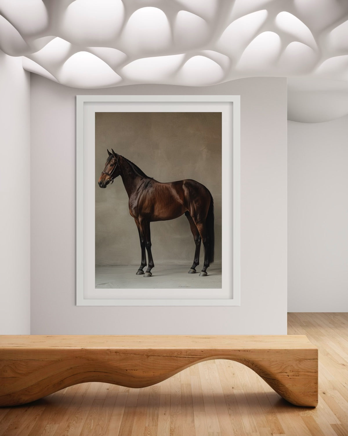 Equine Poise
