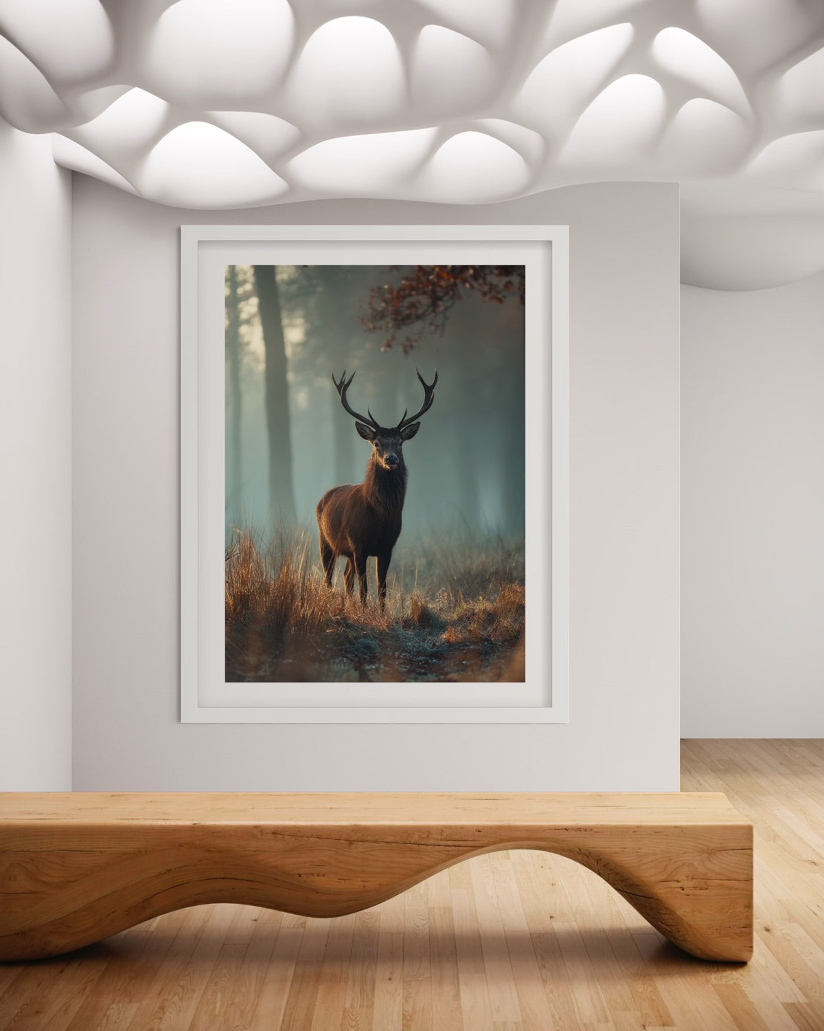 Forest Monarch