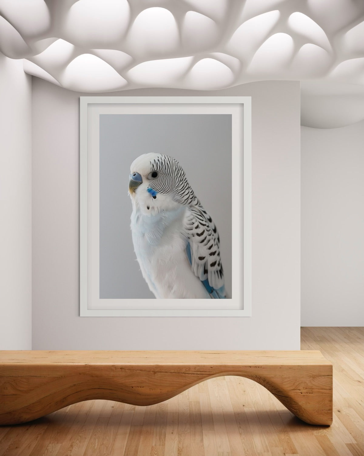 Between Feathers