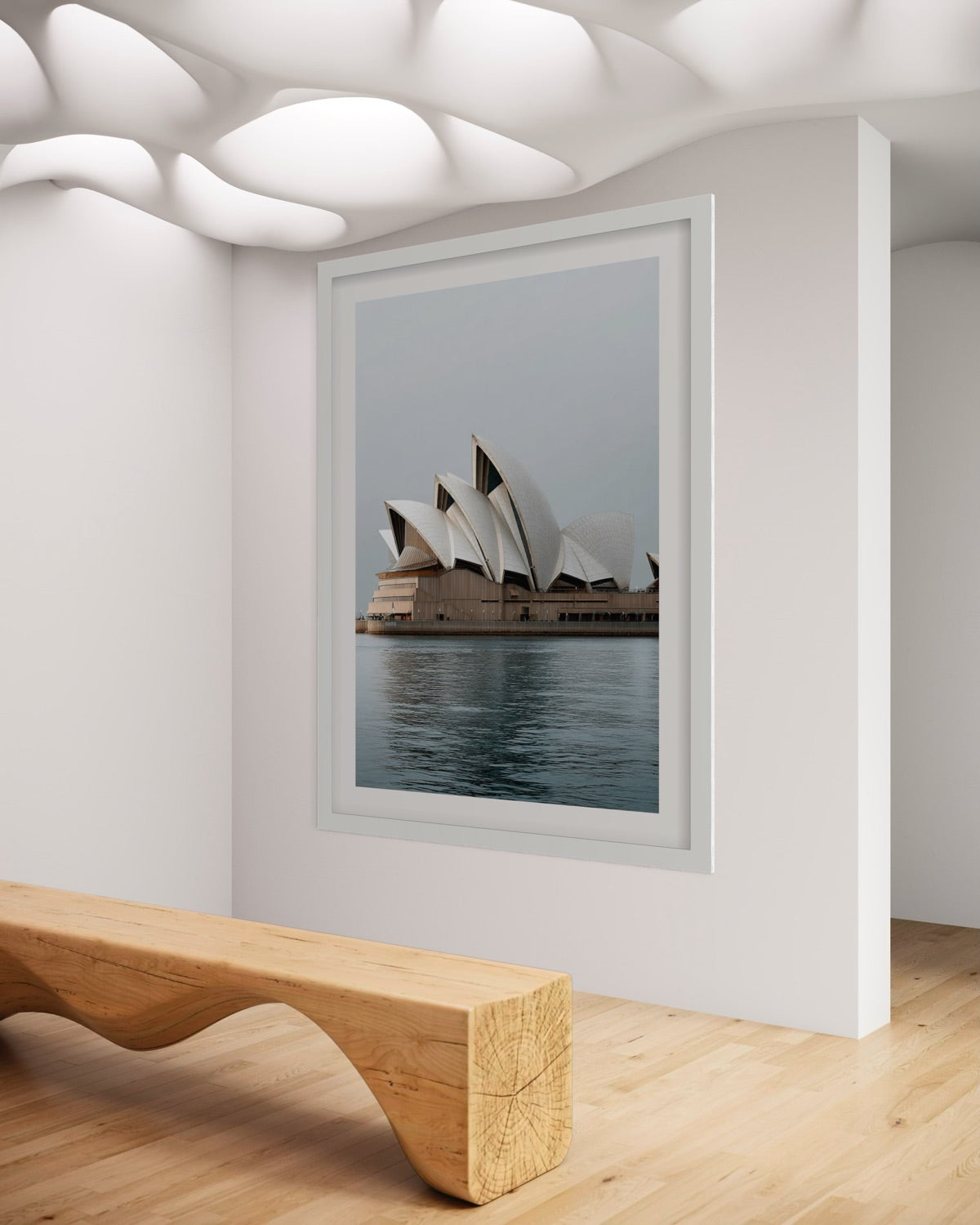 Sydney in Still Light