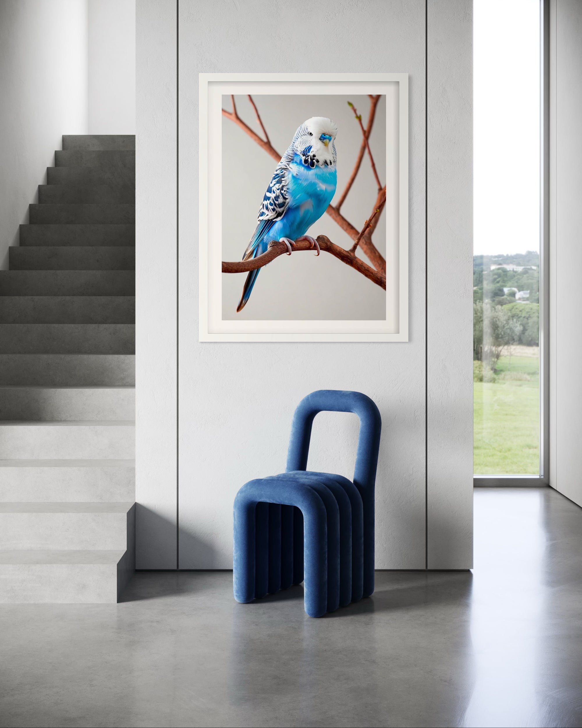 Blue chair in a modern interior setting with a framed picture of a blue budgerigar on the wall.