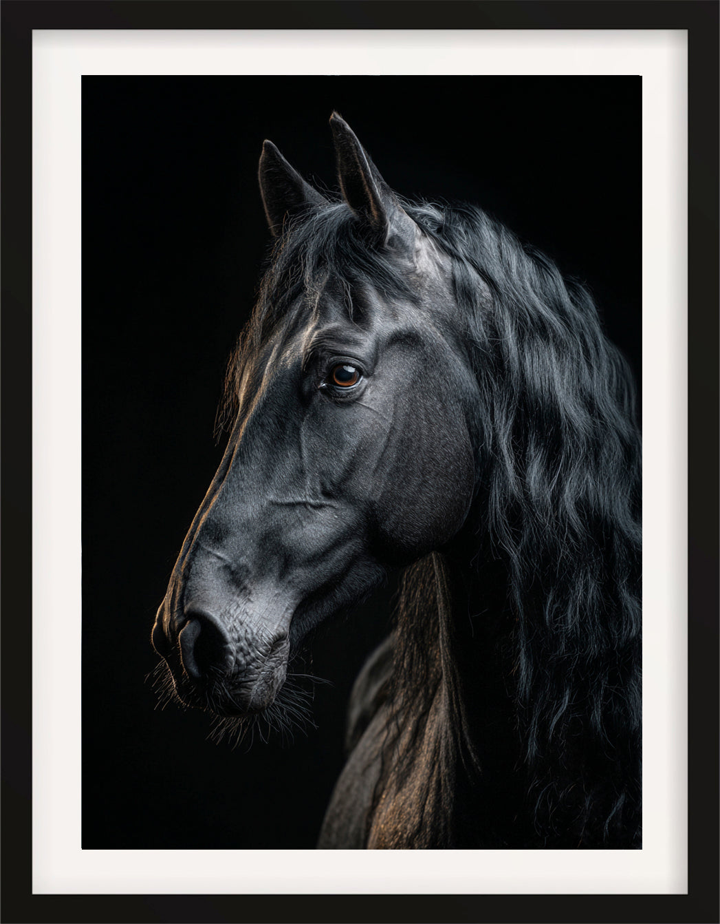 Stallion